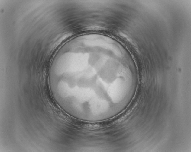 X0000088211313200706051247