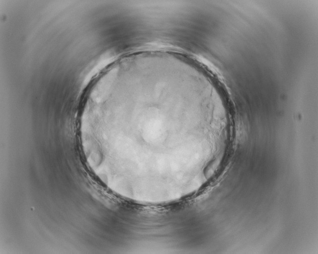 X0000088211314200706051247