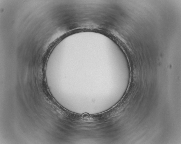 X0000088211315200706051247