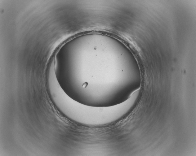 X0000088211316200706051247