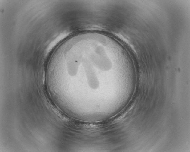 X0000088211317200706051247