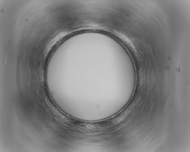 X0000088211318200706051247