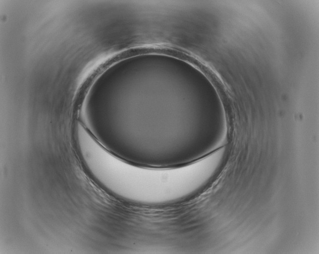 X0000088211319200706051247