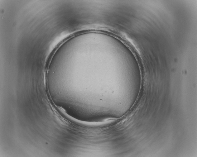 X0000088211320200706051247