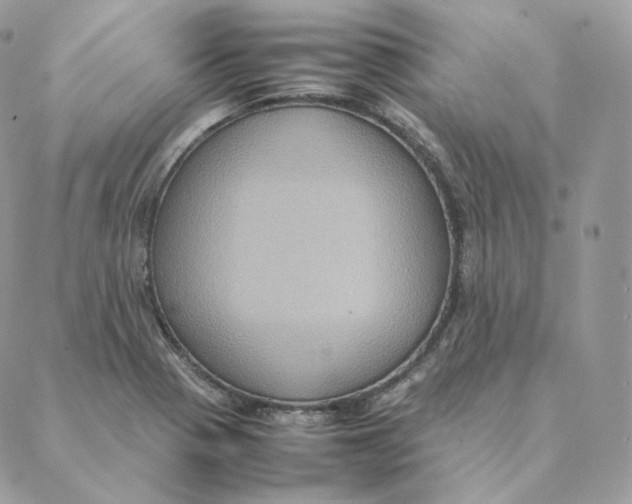 X0000088211321200706051247