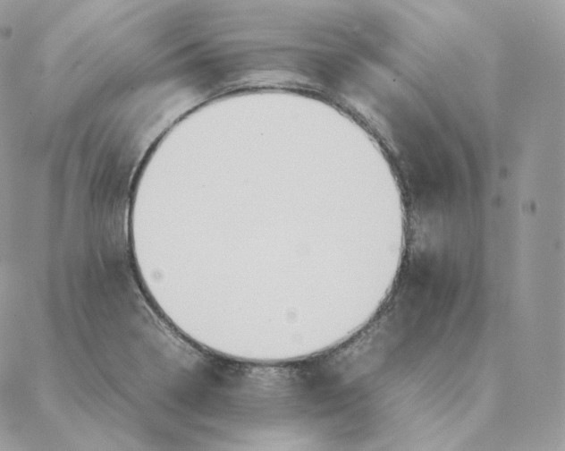 X0000088211322200706051247