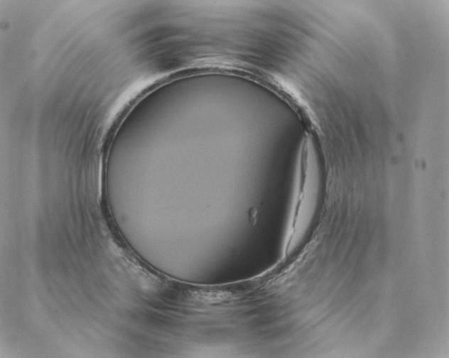 X0000088211323200706051247