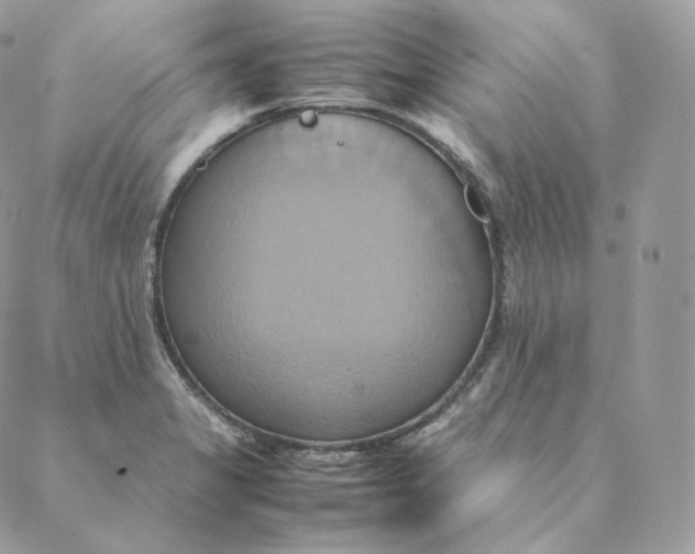 X0000088211325200706051247