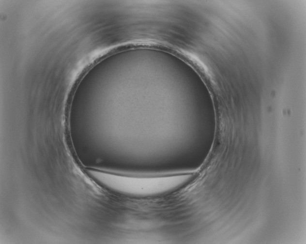 X0000088211327200706051247