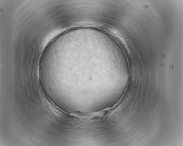 X0000088211328200706051247