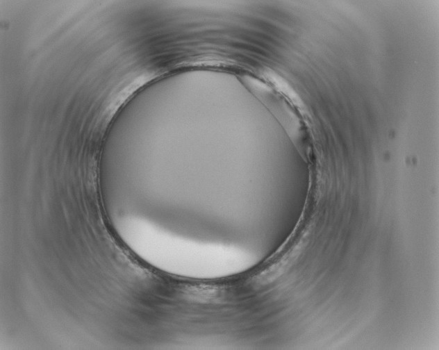 X0000088211329200706051247