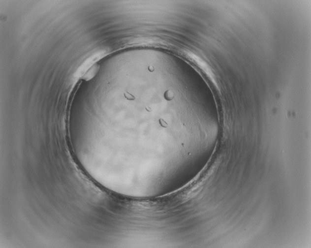 X0000088211330200706051247