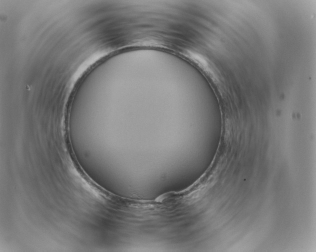 X0000088211331200706051247