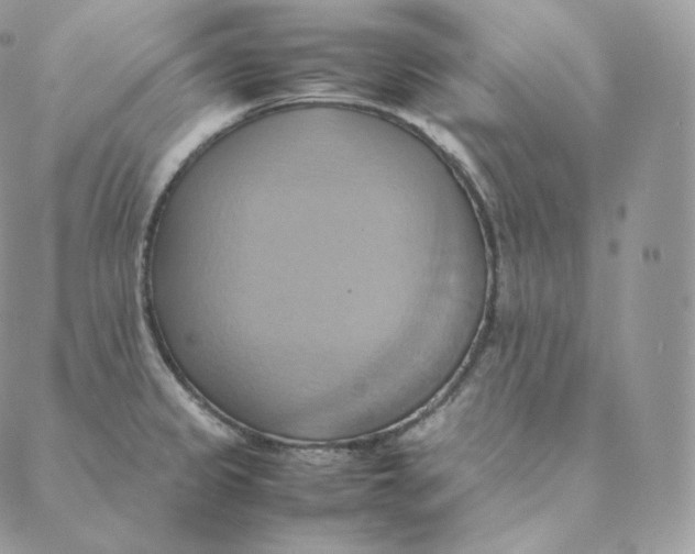 X0000088211333200706051247