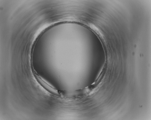 X0000088211334200706051247