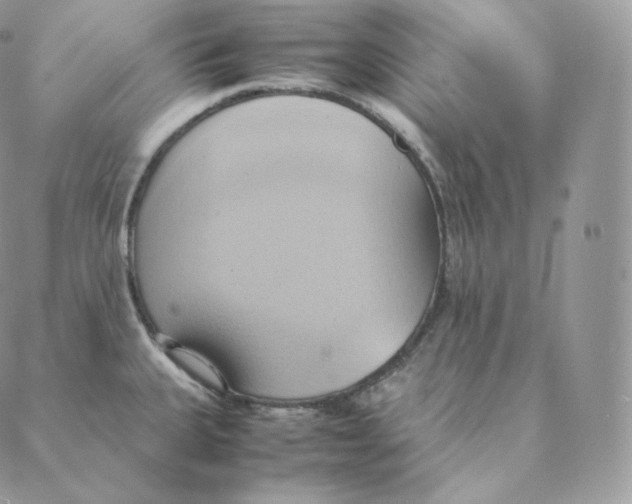 X0000088211335200706051247