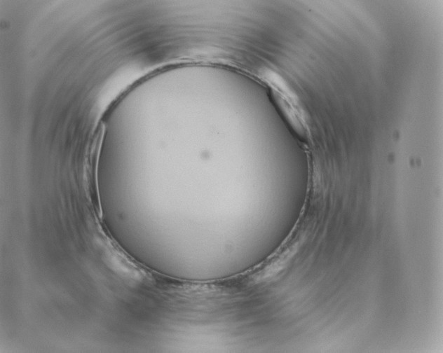 X0000088211336200706051247