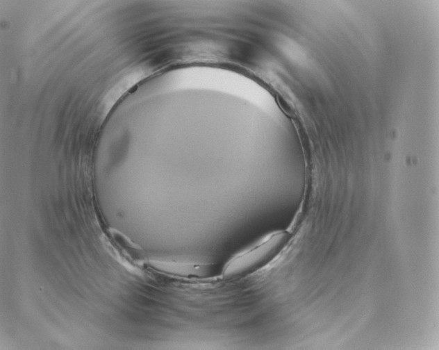 X0000088211337200706051247