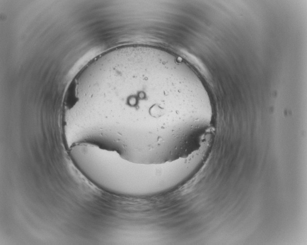 X0000088211338200706051247