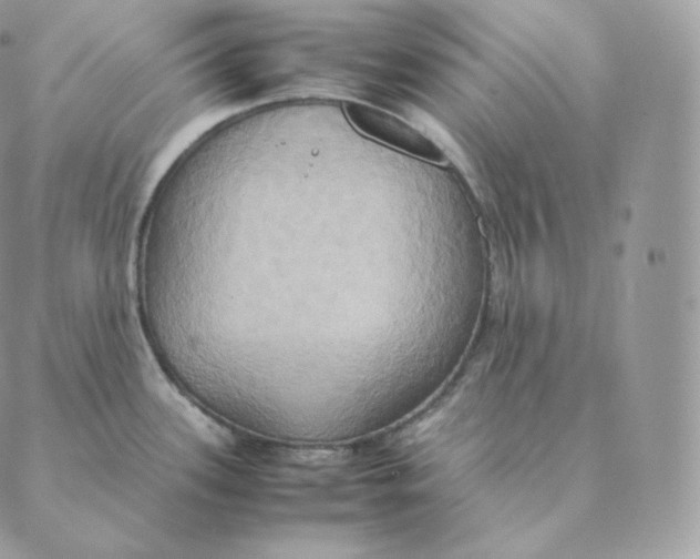 X0000088211339200706051247