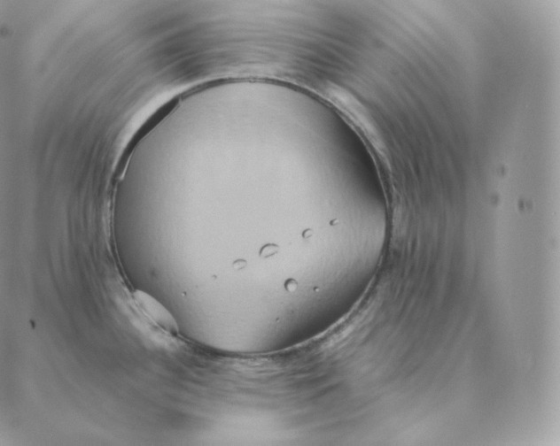 X0000088211340200706051247