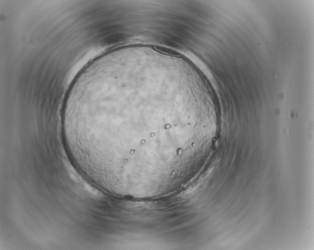 X0000088211341200706051247