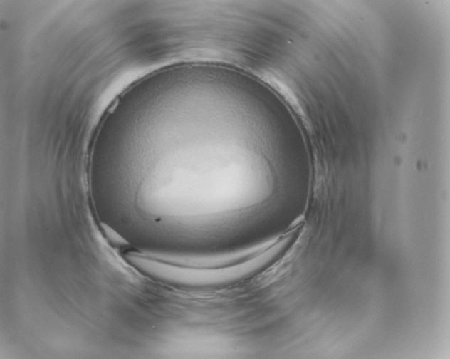 X0000088211342200706051247