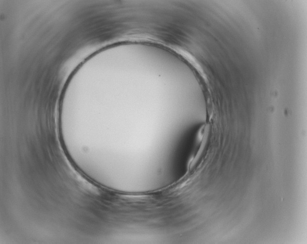 X0000088211343200706051247