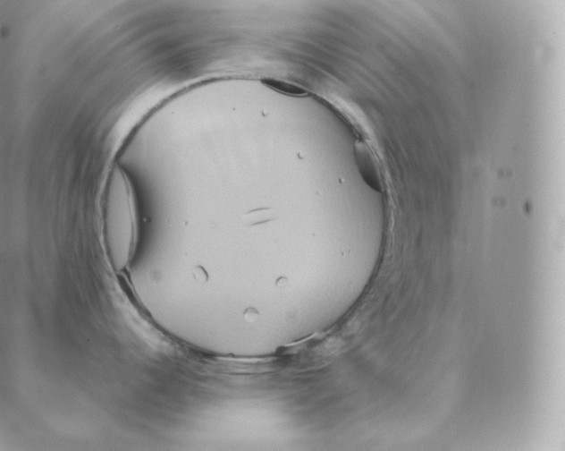 X0000088211344200706051247