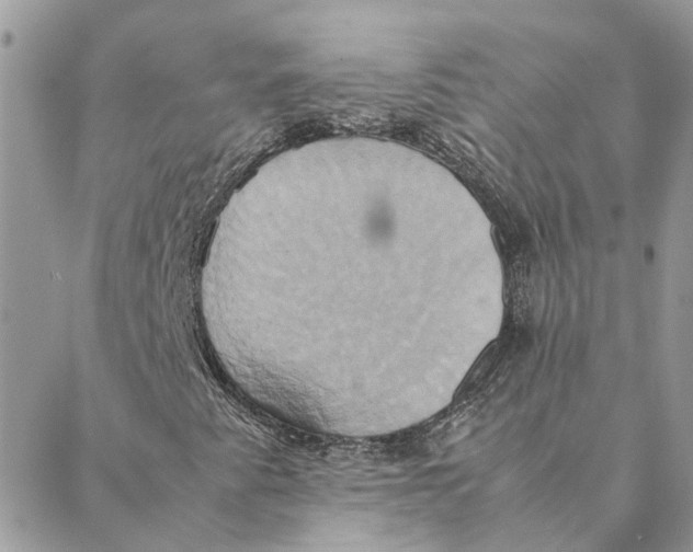 X0000088211345200706051247