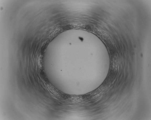 X0000088211346200706051246