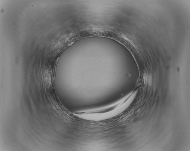 X0000088211348200706051246