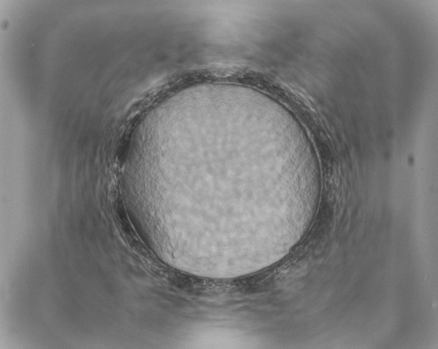 X0000088211349200706051246