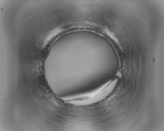 X0000088211352200706051246