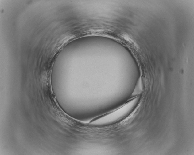 X0000088211353200706051246