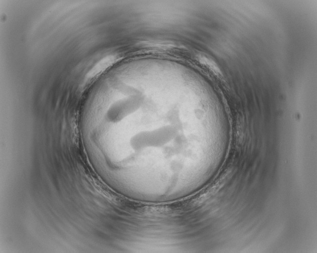 X0000088211354200706051246