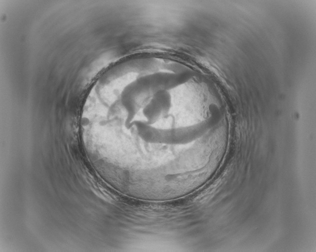 X0000088211355200706051246