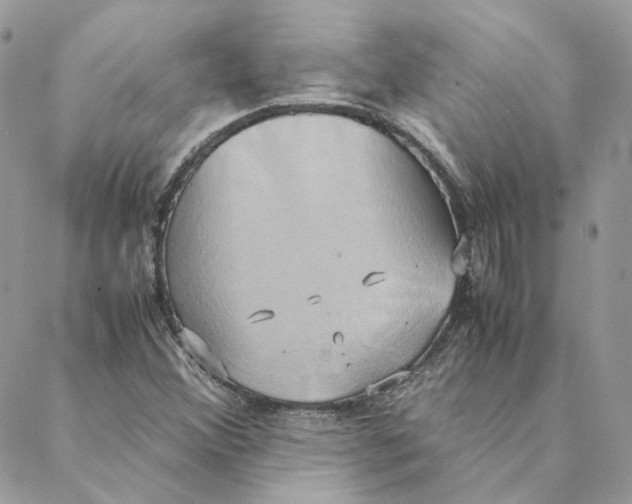 X0000088211356200706051246