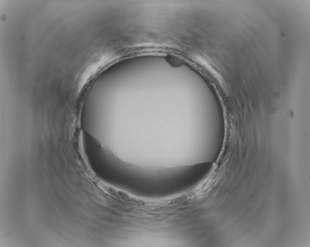 X0000088211357200706051246