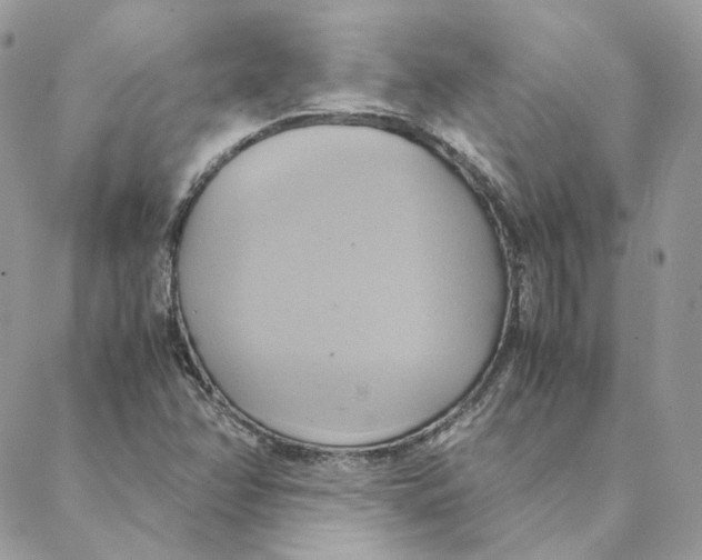 X0000088211358200706051246