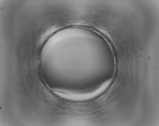 X0000088211359200706051246