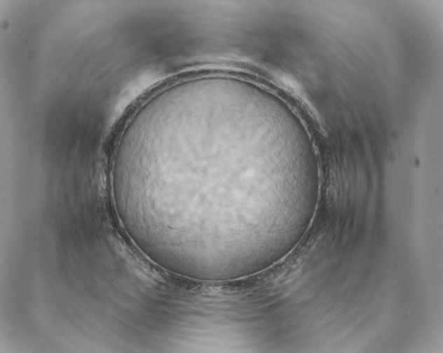 X0000088211360200706051246