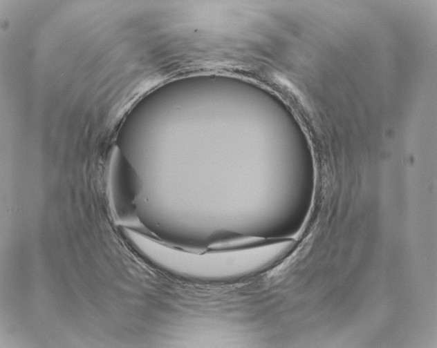 X0000088211361200706051246