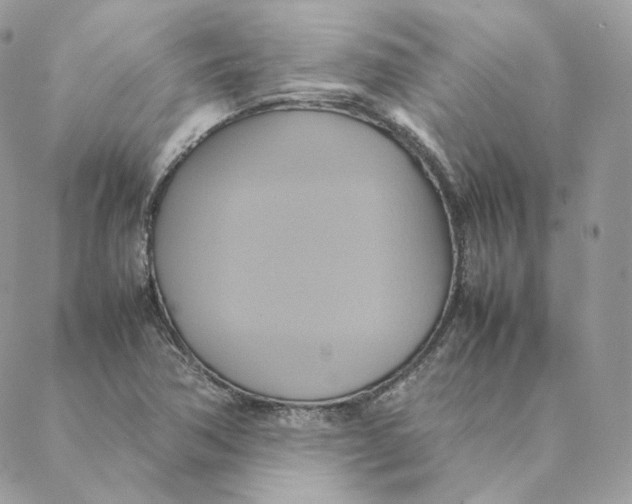 X0000088211362200706051246