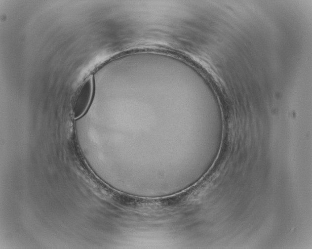 X0000088211363200706051246