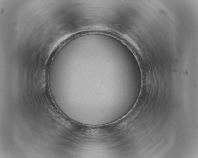 X0000088211364200706051246