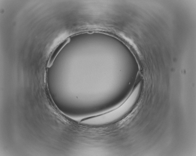 X0000088211365200706051246