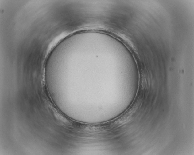 X0000088211366200706051246