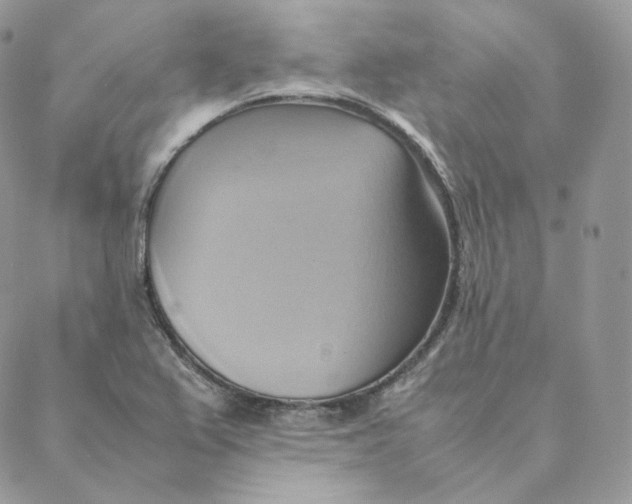 X0000088211367200706051246