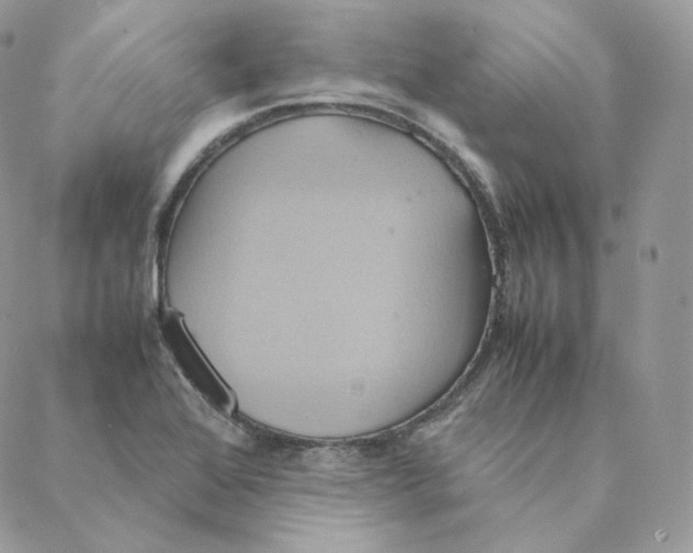 X0000088211368200706051246